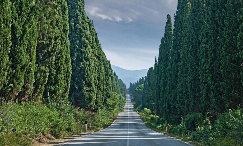 Agriturismo Ss Annunziata San Vincenzo Eksteriør billede