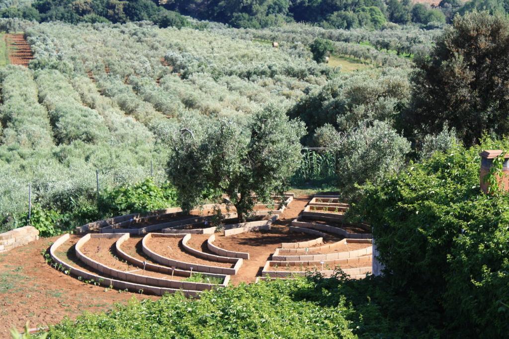 Agriturismo Ss Annunziata San Vincenzo Eksteriør billede