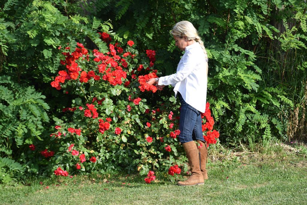 Agriturismo Ss Annunziata San Vincenzo Eksteriør billede