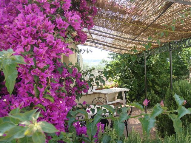 Agriturismo Ss Annunziata San Vincenzo Eksteriør billede