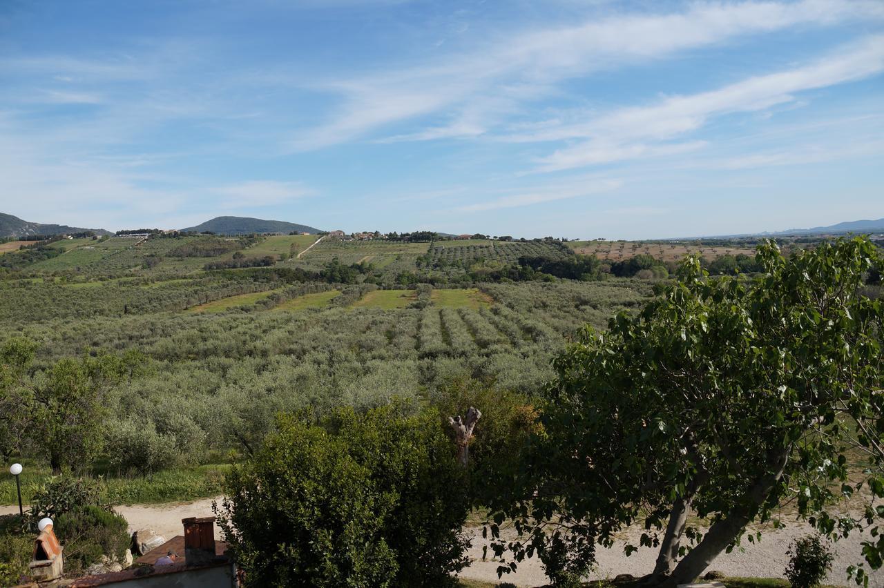 Agriturismo Ss Annunziata San Vincenzo Eksteriør billede